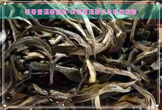 茯苓普洱茶泡水-茯苓普洱茶泡水喝的功效