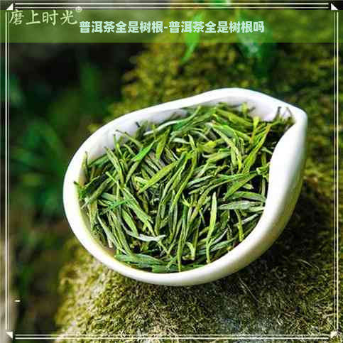 普洱茶全是树根-普洱茶全是树根吗