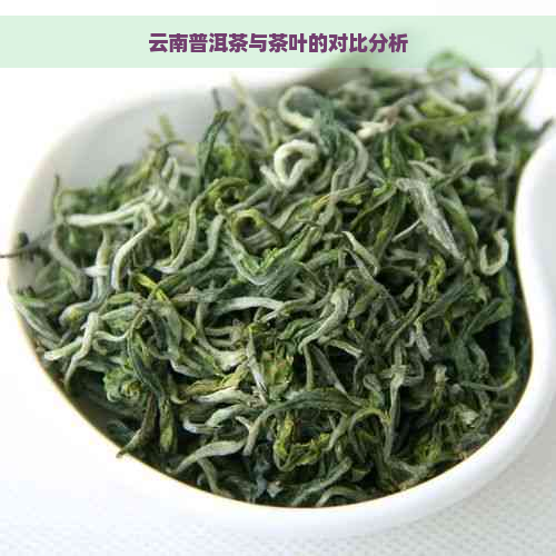 云南普洱茶与茶叶的对比分析