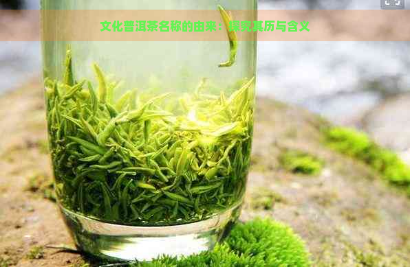 文化普洱茶名称的由来：探究其历与含义