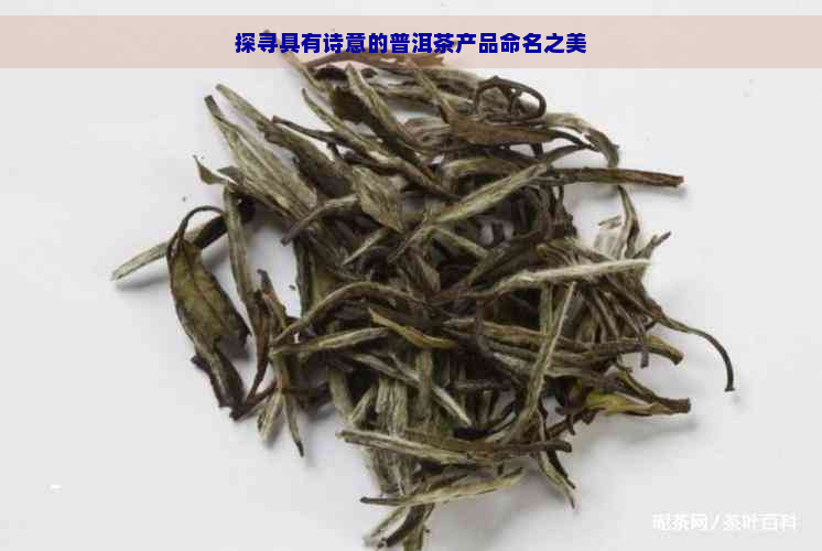 探寻具有诗意的普洱茶产品命名之美