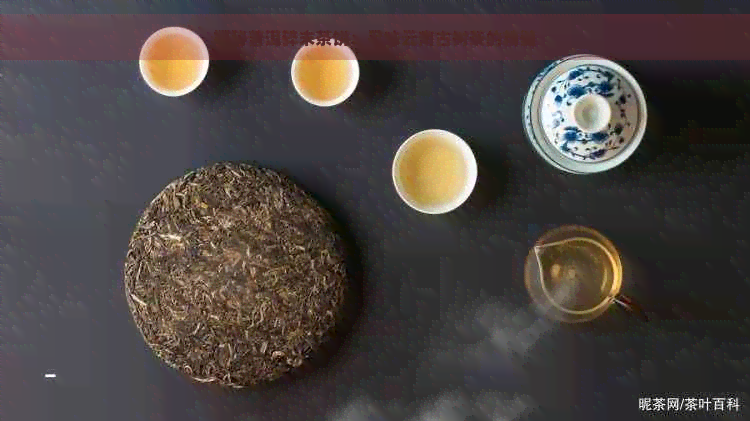 探秘普洱碎末茶饼：品味云南古树茶的精髓