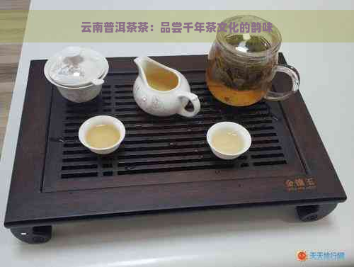 云南普洱茶茶：品尝千年茶文化的韵味