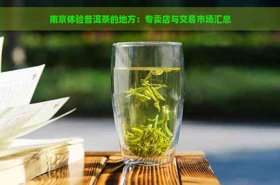 南京体验普洱茶的地方：专卖店与交易市场汇总