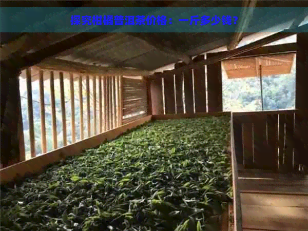 探究柑橘普洱茶价格：一斤多少钱？