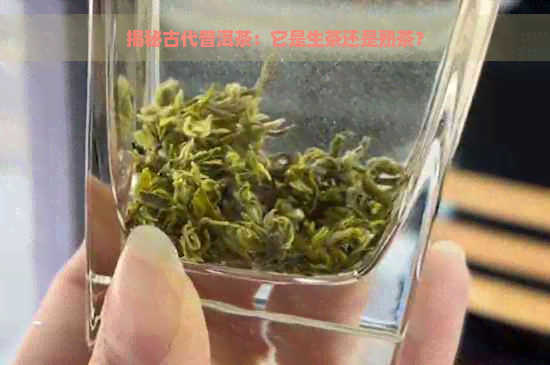 揭秘古代普洱茶：它是生茶还是熟茶？