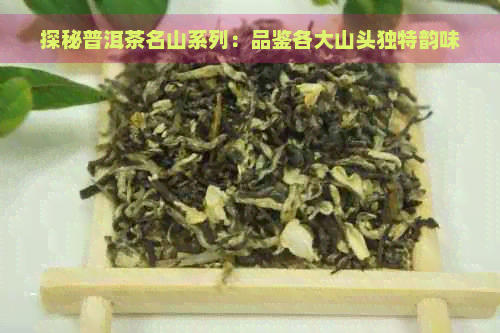 探秘普洱茶名山系列：品鉴各大山头独特韵味