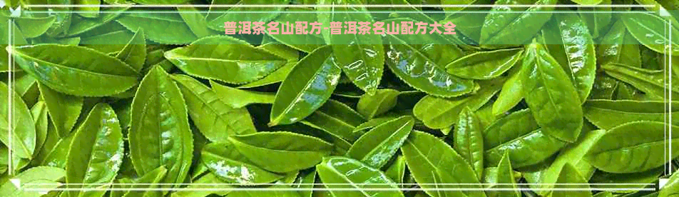 普洱茶名山配方-普洱茶名山配方大全