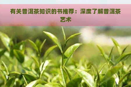 有关普洱茶知识的书推荐：深度了解普洱茶艺术