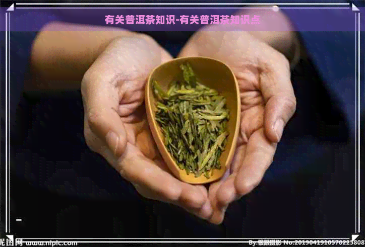 有关普洱茶知识-有关普洱茶知识点