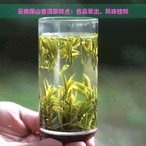 云南保山普洱茶特点：名品辈出，风味独特