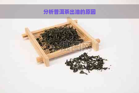 分析普洱茶出油的原因