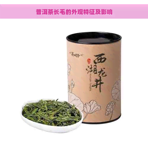 普洱茶长毛的外观特征及影响