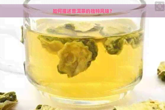 如何描述普洱茶的独特风味？