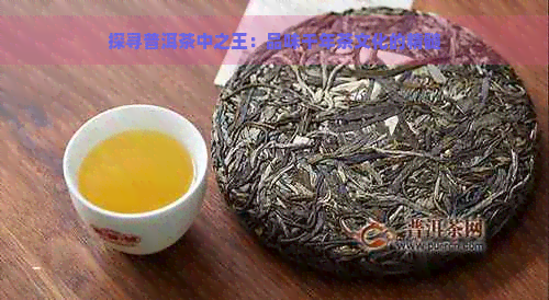 探寻普洱茶中之王：品味千年茶文化的精髓