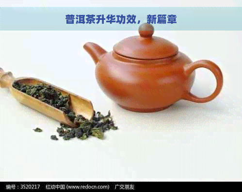 普洱茶升华功效，新篇章