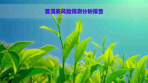 普洱茶风险预测分析报告