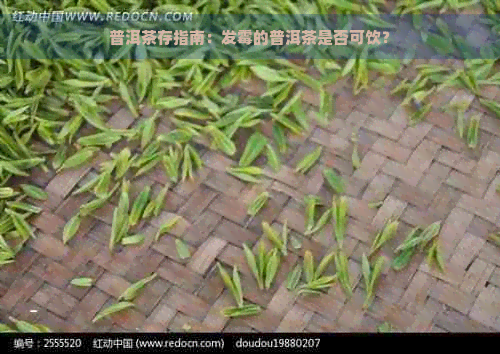 普洱茶存指南：发霉的普洱茶是否可饮？