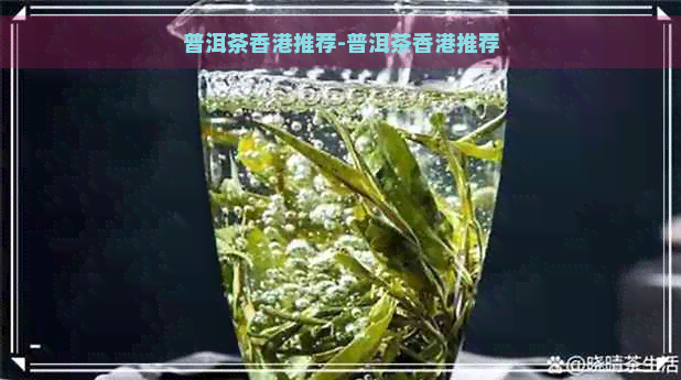 普洱茶推荐-普洱茶推荐