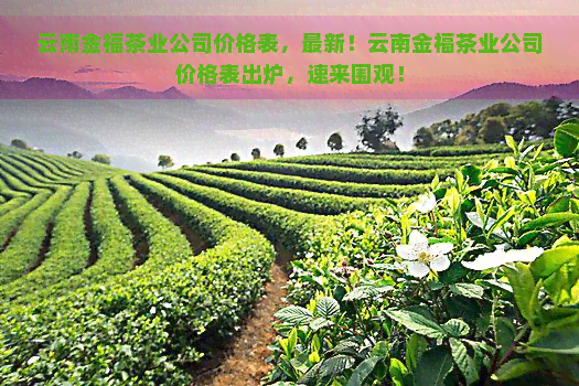 云南金福茶业公司价格表，最新！云南金福茶业公司价格表出炉，速来围观！