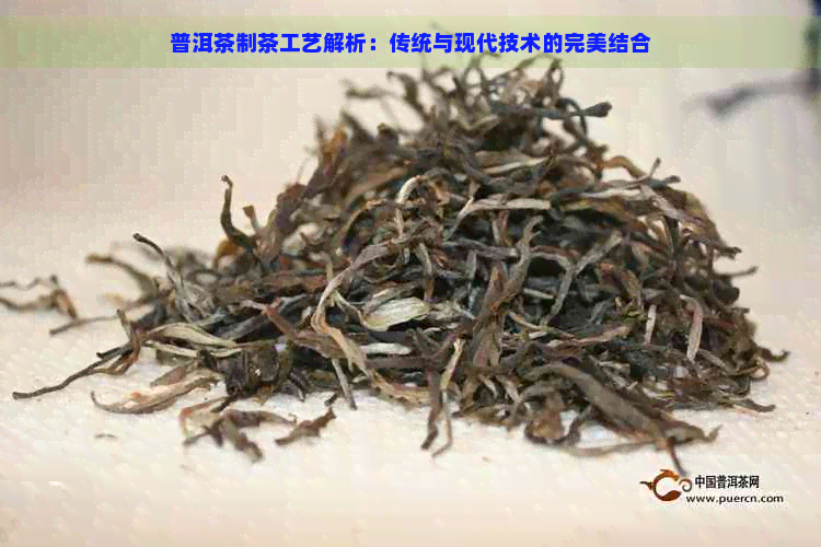 普洱茶制茶工艺解析：传统与现代技术的完美结合