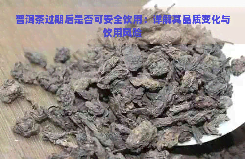 普洱茶过期后是否可安全饮用：详解其品质变化与饮用风险