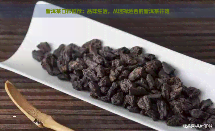 普洱茶口粮推荐：品味生活，从选择适合的普洱茶开始