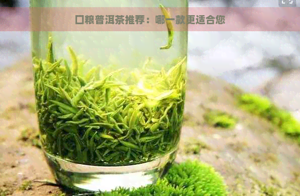 囗粮普洱茶推荐：哪一款更适合您