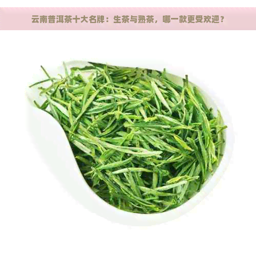 云南普洱茶十大名牌：生茶与熟茶，哪一款更受欢迎？