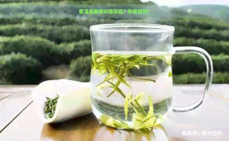 普洱茶散茶价值高吗？价格如何？