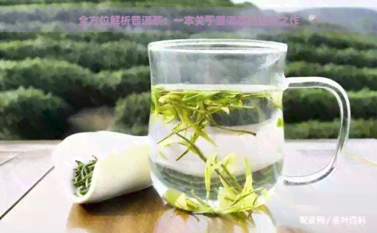 全方位解析普洱茶：一本关于普洱茶的经典之作