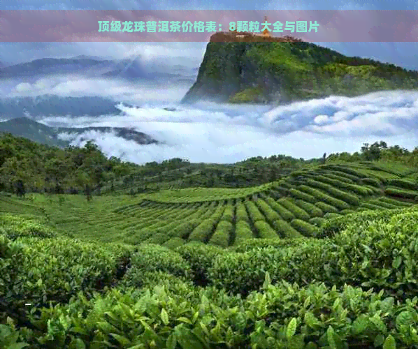 顶级龙珠普洱茶价格表：8颗粒大全与图片