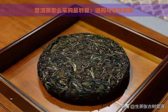 普洱茶怎么采购最划算：选购与拿货指南