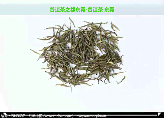 普洱茶之都东莞-普洱茶 东莞