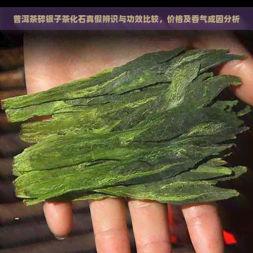 普洱茶碎银子茶化石真假辨识与功效比较，价格及香气成因分析