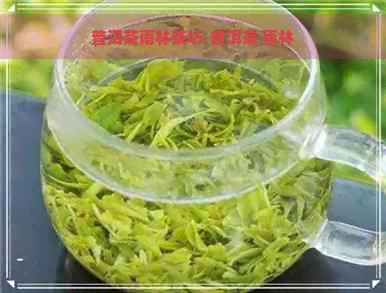 普洱茶雨林茶坊-普洱茶 雨林