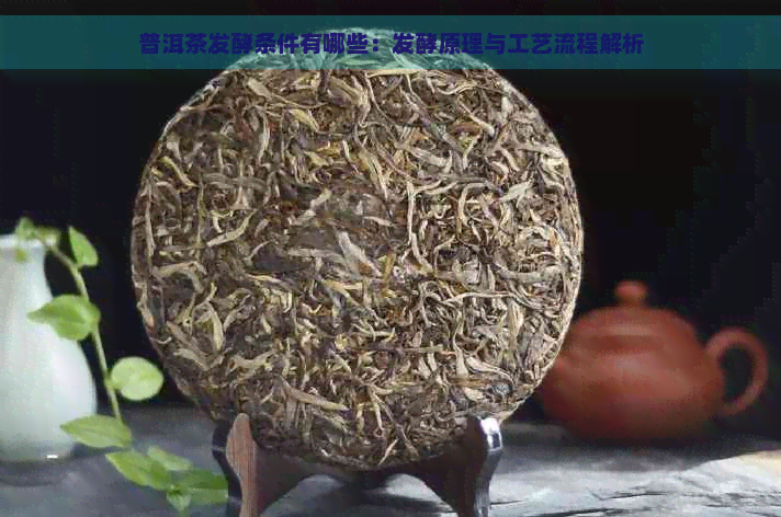 普洱茶发酵条件有哪些：发酵原理与工艺流程解析