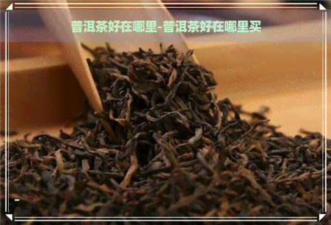 普洱茶好在哪里-普洱茶好在哪里买