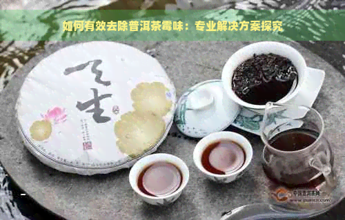 如何有效去除普洱茶霉味：专业解决方案探究