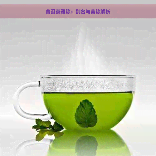 普洱茶雅称：别名与美称解析