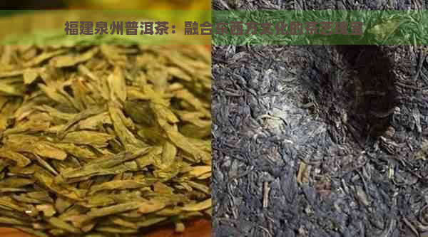 福建泉州普洱茶：融合东西方文化的茶艺瑰宝