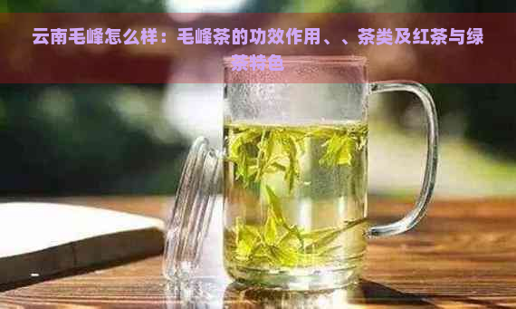 云南毛峰怎么样：毛峰茶的功效作用、、茶类及红茶与绿茶特色
