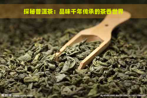 探秘普洱茶：品味千年传承的茶香世界