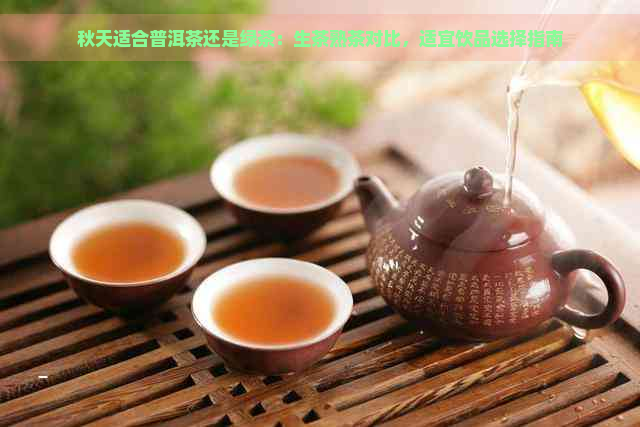 秋天适合普洱茶还是绿茶：生茶熟茶对比，适宜饮品选择指南