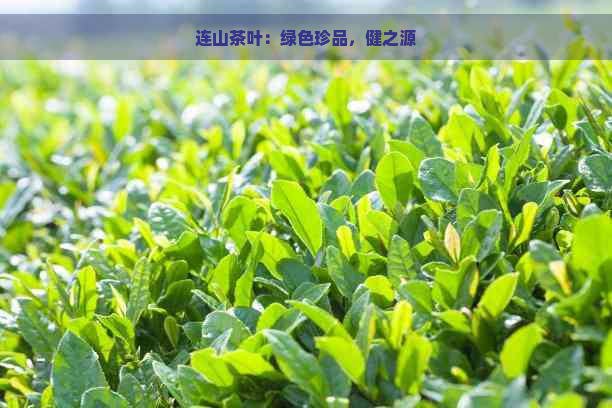 连山茶叶：绿色珍品，健之源