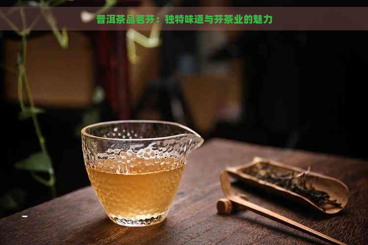 普洱茶品茗芬：独特味道与芬茶业的魅力