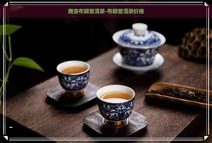 商洛布朗普洱茶-布朗普洱茶价格