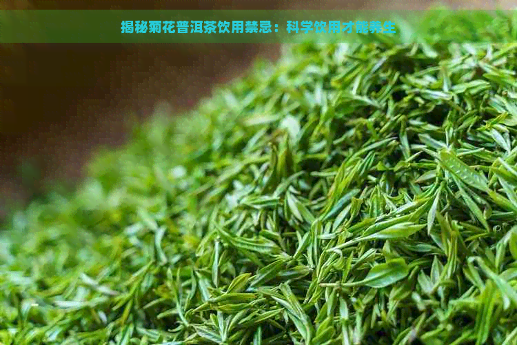 揭秘菊花普洱茶饮用禁忌：科学饮用才能养生