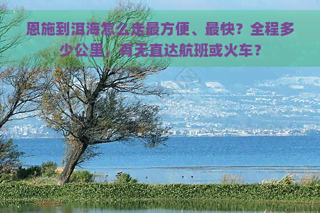 恩施到洱海怎么走最方便、最快？全程多少公里，有无直达航班或火车？