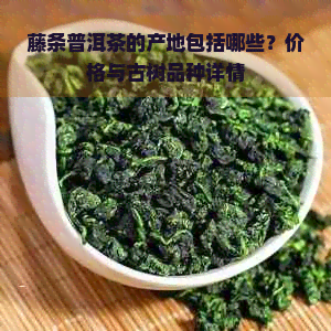 藤条普洱茶的产地包括哪些？价格与古树品种详情